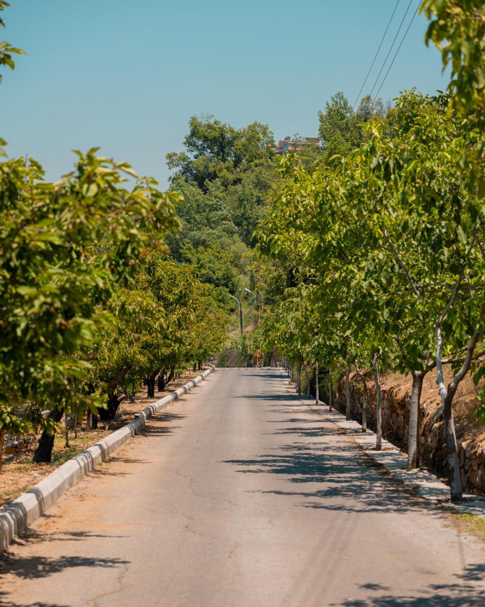 Cherry Blossom Boutique Hotel Bḩamdūn Εξωτερικό φωτογραφία